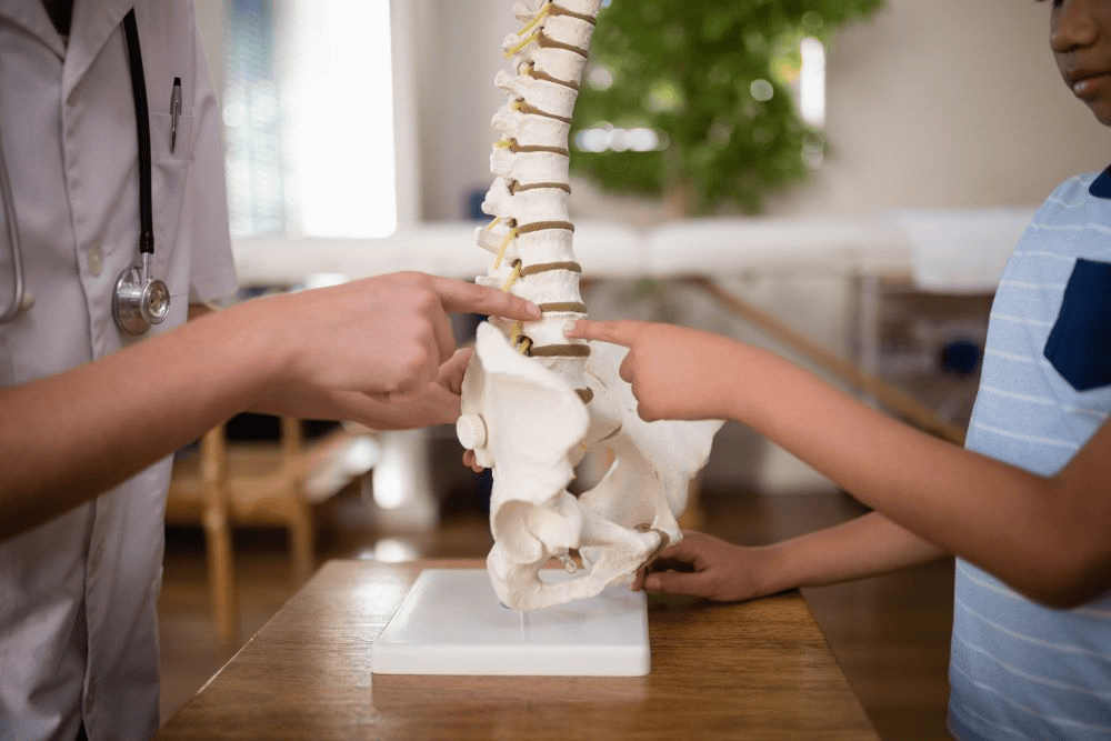 Average settlement for fractured vertebrae